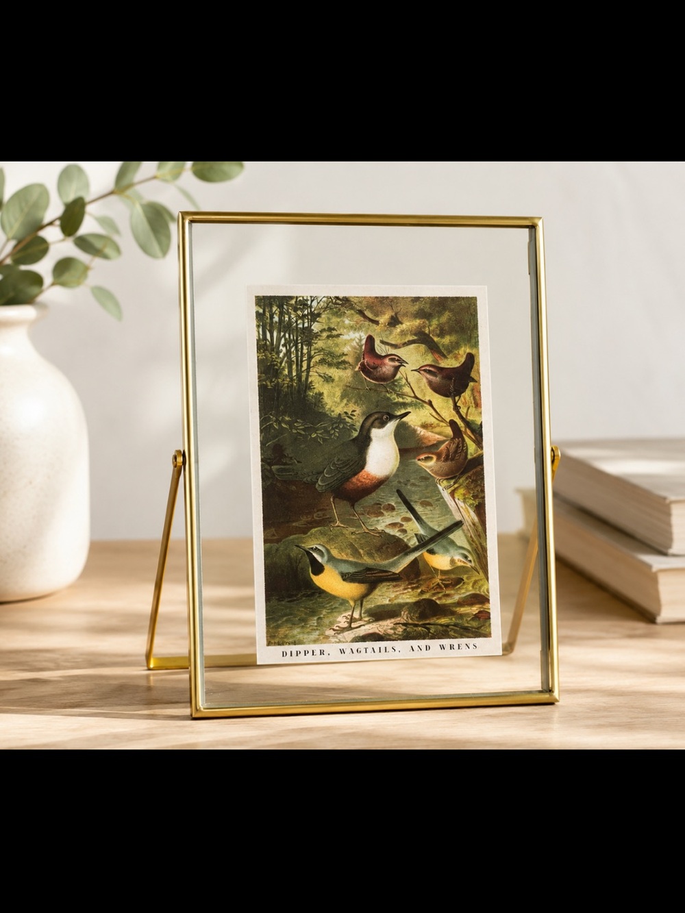 Vintage Style Brass Floating Glass Frame 8x6 Bird Print Dipper Wagtails Wrens